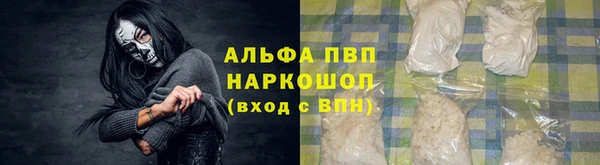 индика Слюдянка